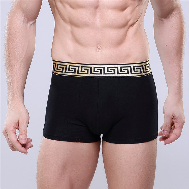 Boxer-briefs en coton pour hommes, couleur unie, coupe quatre coins