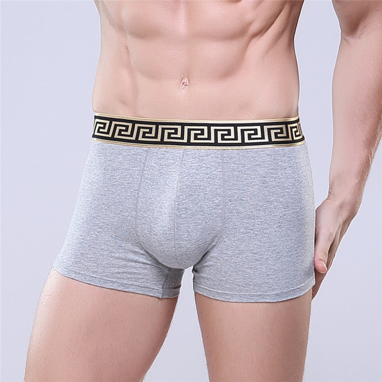 Boxer-briefs en coton pour hommes, couleur unie, coupe quatre coins