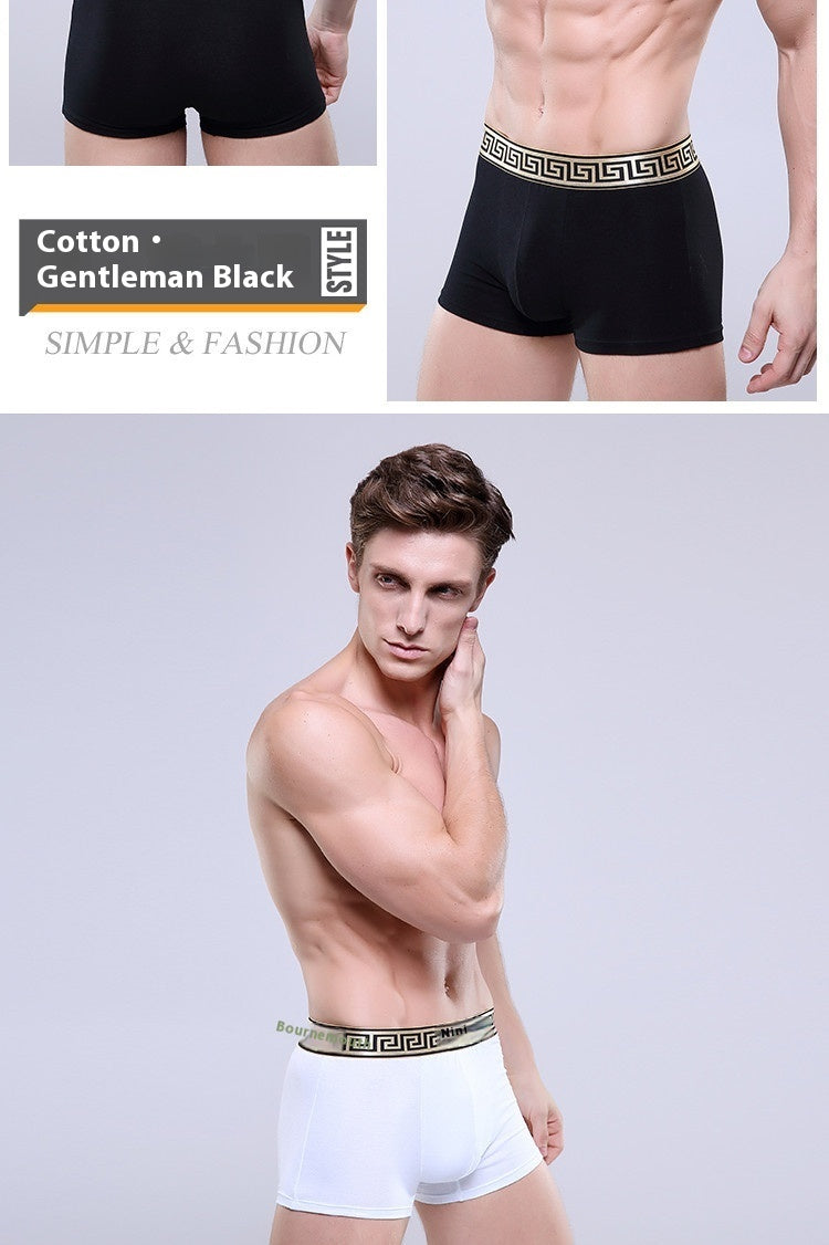 Boxer-briefs en coton pour hommes, couleur unie, coupe quatre coins