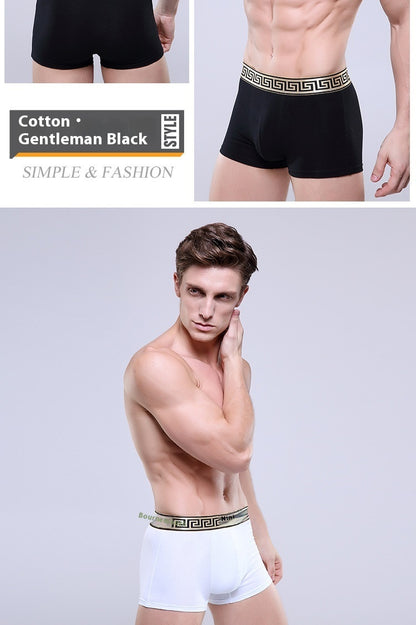 Boxer-briefs en coton pour hommes, couleur unie, coupe quatre coins