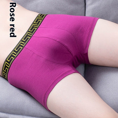 Boxer-briefs en coton pour hommes, couleur unie, coupe quatre coins