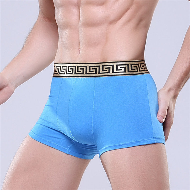 Boxer-briefs en coton pour hommes, couleur unie, coupe quatre coins