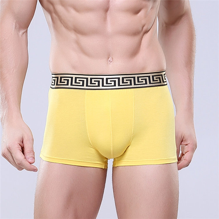 Boxer-briefs en coton pour hommes, couleur unie, coupe quatre coins
