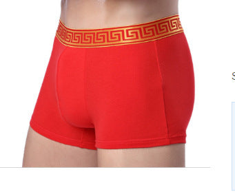 Boxer-briefs en coton pour hommes, couleur unie, coupe quatre coins