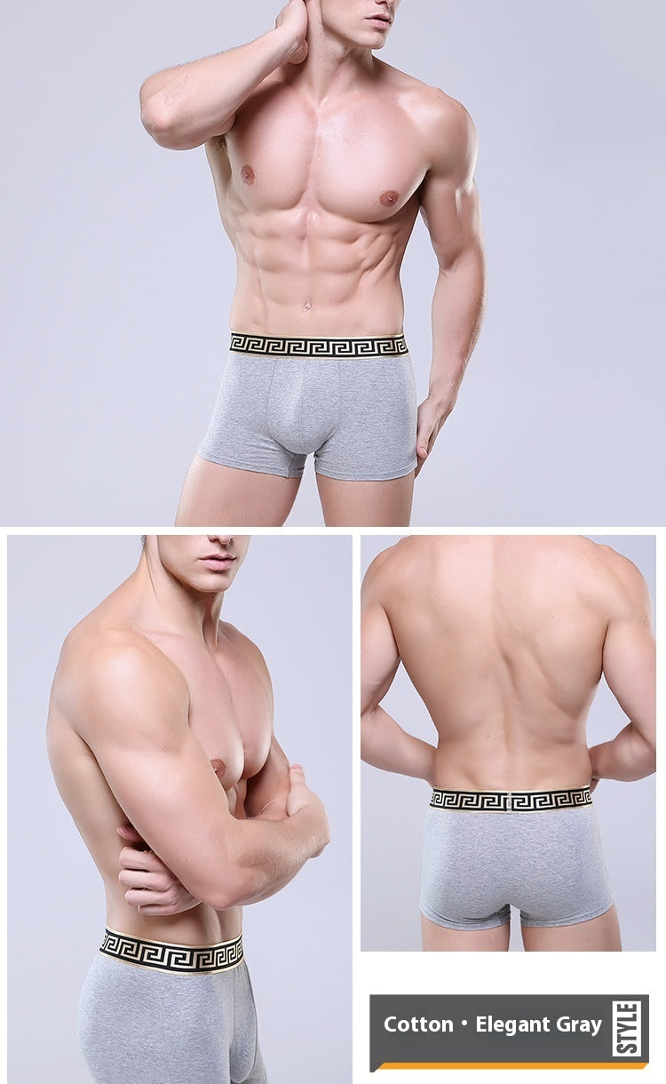 Boxer-briefs en coton pour hommes, couleur unie, coupe quatre coins