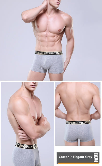 Boxer-briefs en coton pour hommes, couleur unie, coupe quatre coins