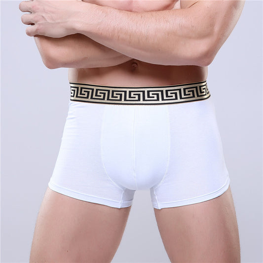 Boxer-briefs en coton pour hommes, couleur unie, coupe quatre coins