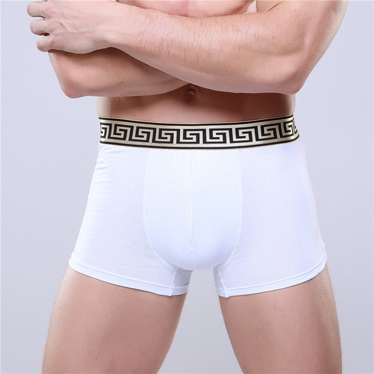 Boxer-briefs en coton pour hommes, couleur unie, coupe quatre coins