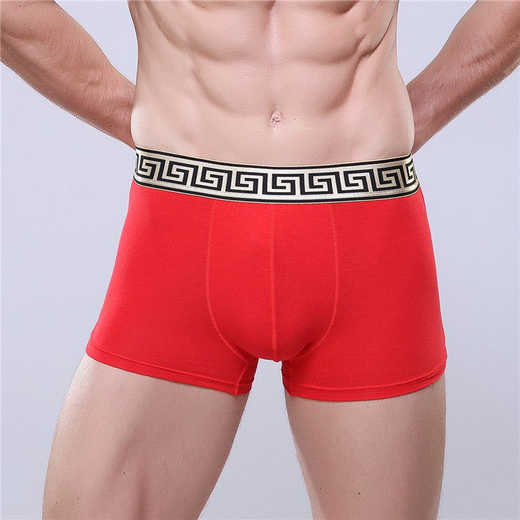 Boxer-briefs en coton pour hommes, couleur unie, coupe quatre coins