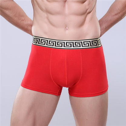 Boxer-briefs en coton pour hommes, couleur unie, coupe quatre coins