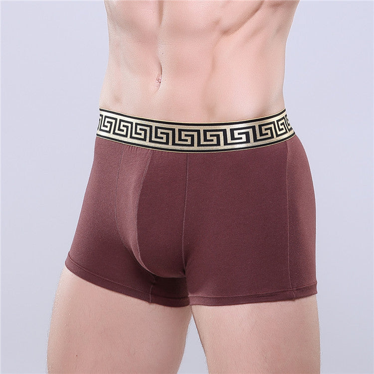Boxer-briefs en coton pour hommes, couleur unie, coupe quatre coins